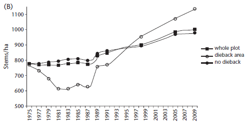 Figure 5.18 (B): Change in stem number at the Garrawalt permanent plot between 1975 and 2009, showing the impact of dieback disease on plot structure, and subsequent recovery.