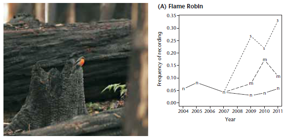 Figure 13.22 (A) from the book: Flame Robin's response to fire