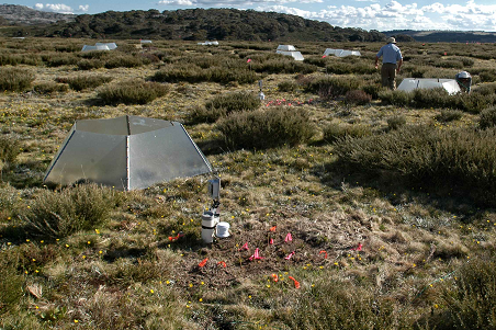 International Tundra Experiment Plot © 2011 Henrik Wahren International Tundra Experiment Plot © 2011 Henrik Wahren
